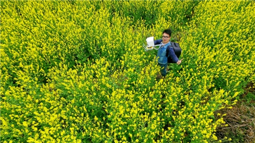 春天里的潼南油菜花航拍宣传片